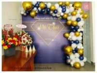 backdrop_thietke_1