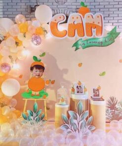 Trang trí sinh nhật bé Cam