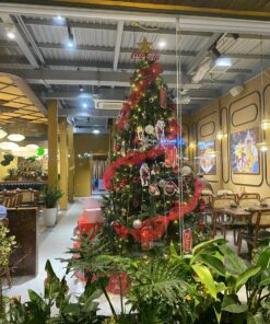 CHO THUÊ CÂY THÔNG NOEL