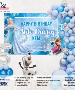 Set bóng phông nền Elsa