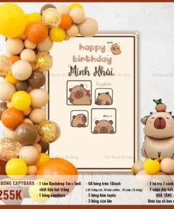 Set sinh nhật Capybara