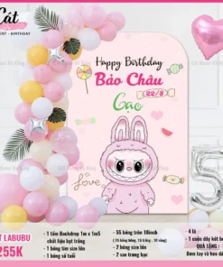 Set sinh nhật Labubu