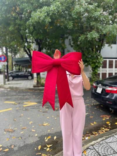 Nơ nhung đỏ đô