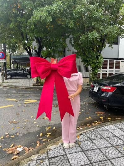 Nơ nhung đỏ đô