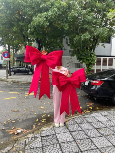 Nơ nhung đỏ đô