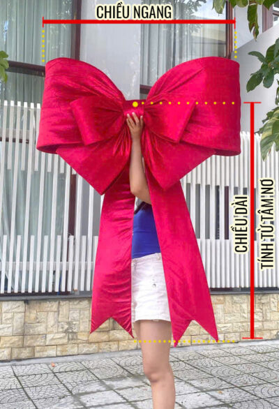Nơ nhung xịn - Ảnh 4