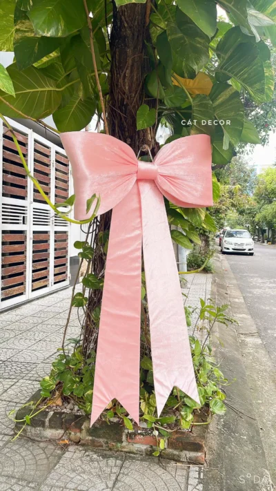 Nơ nhung hồng thường Nơ nhung hồng thường