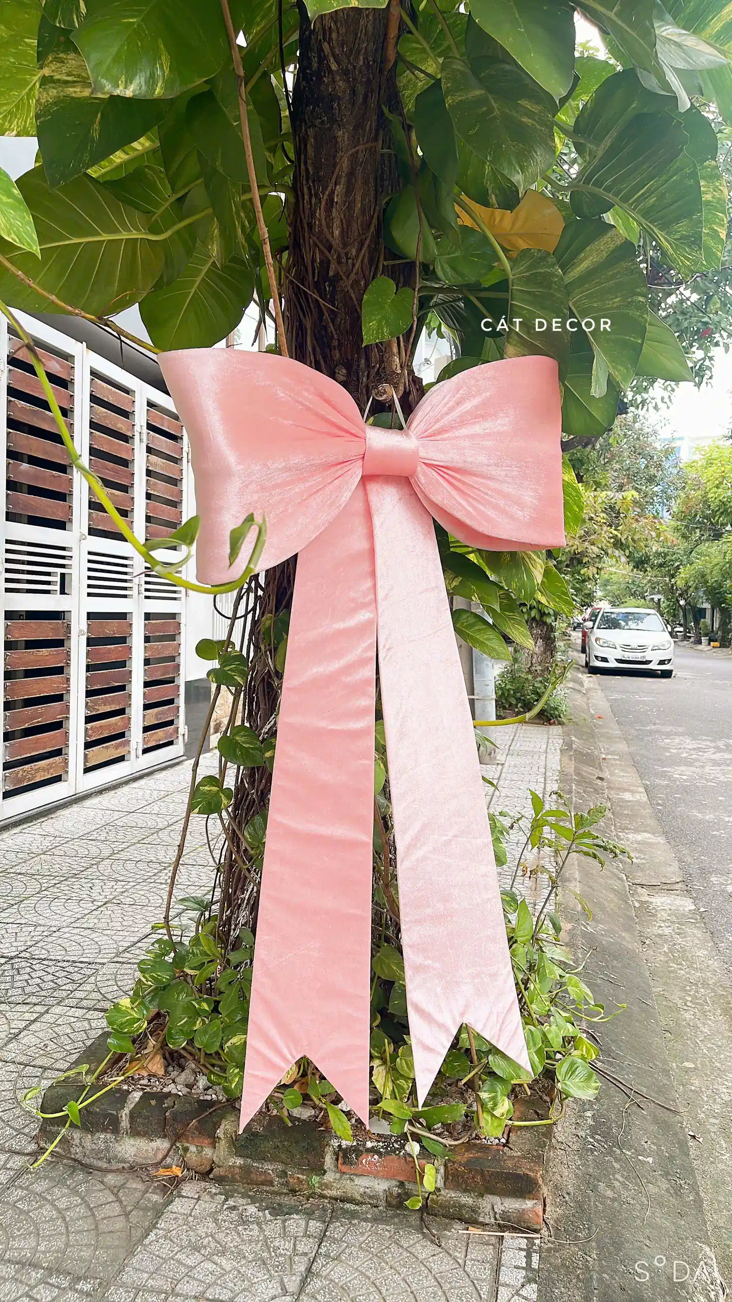 Nơ nhung hồng thường Nơ nhung hồng thường - Ảnh 2