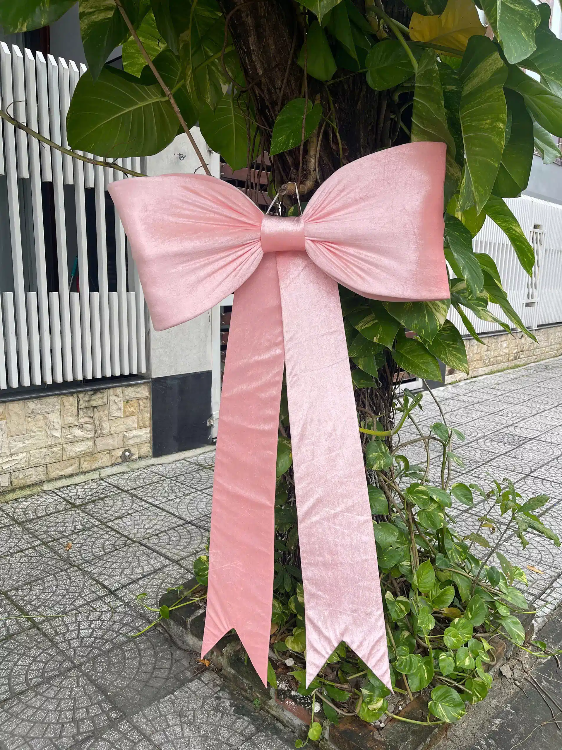 Nơ nhung hồng thường Nơ nhung hồng thường