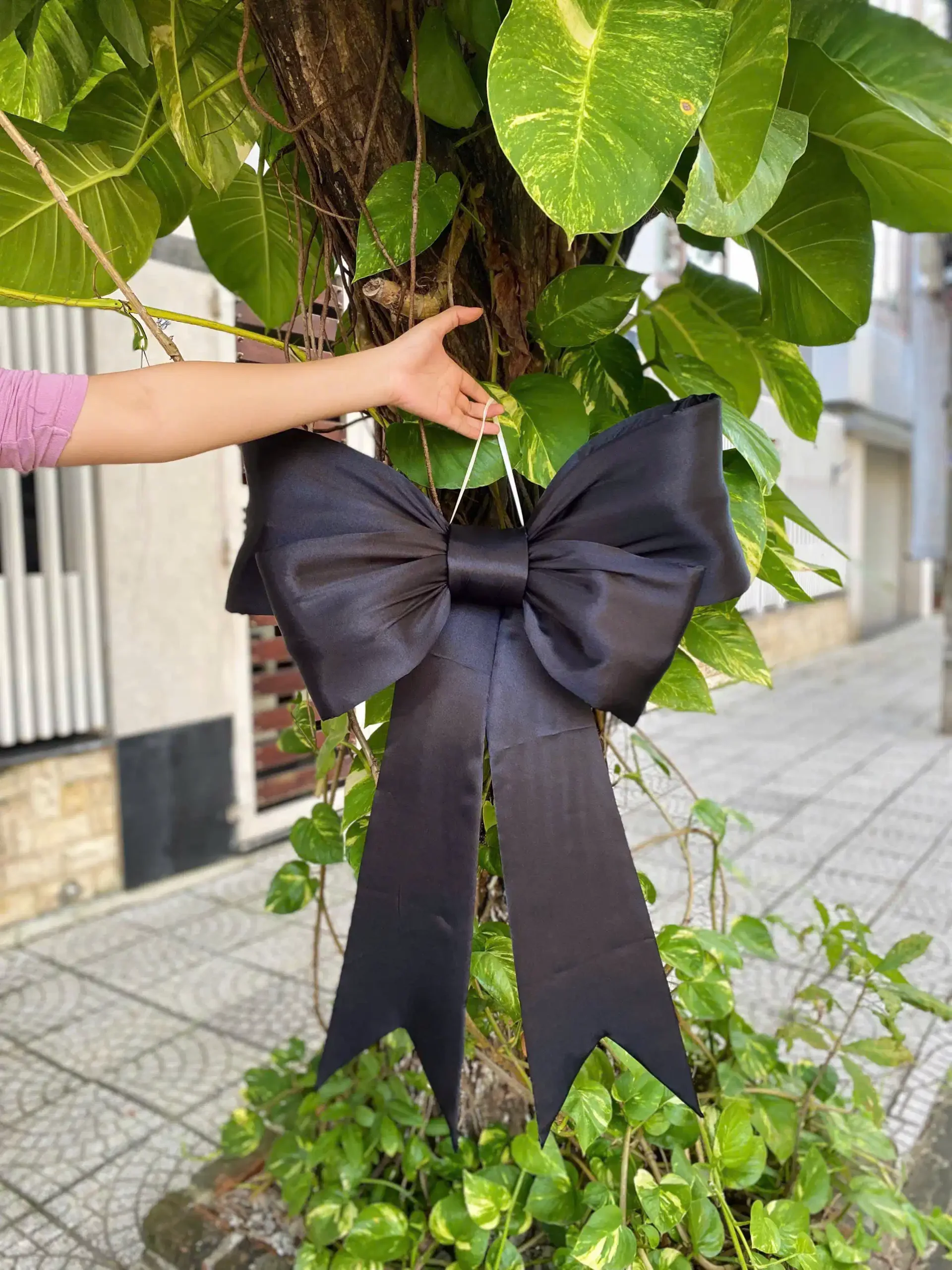 Nơ Đen Phi bóng Nơ Đen Phi bóng