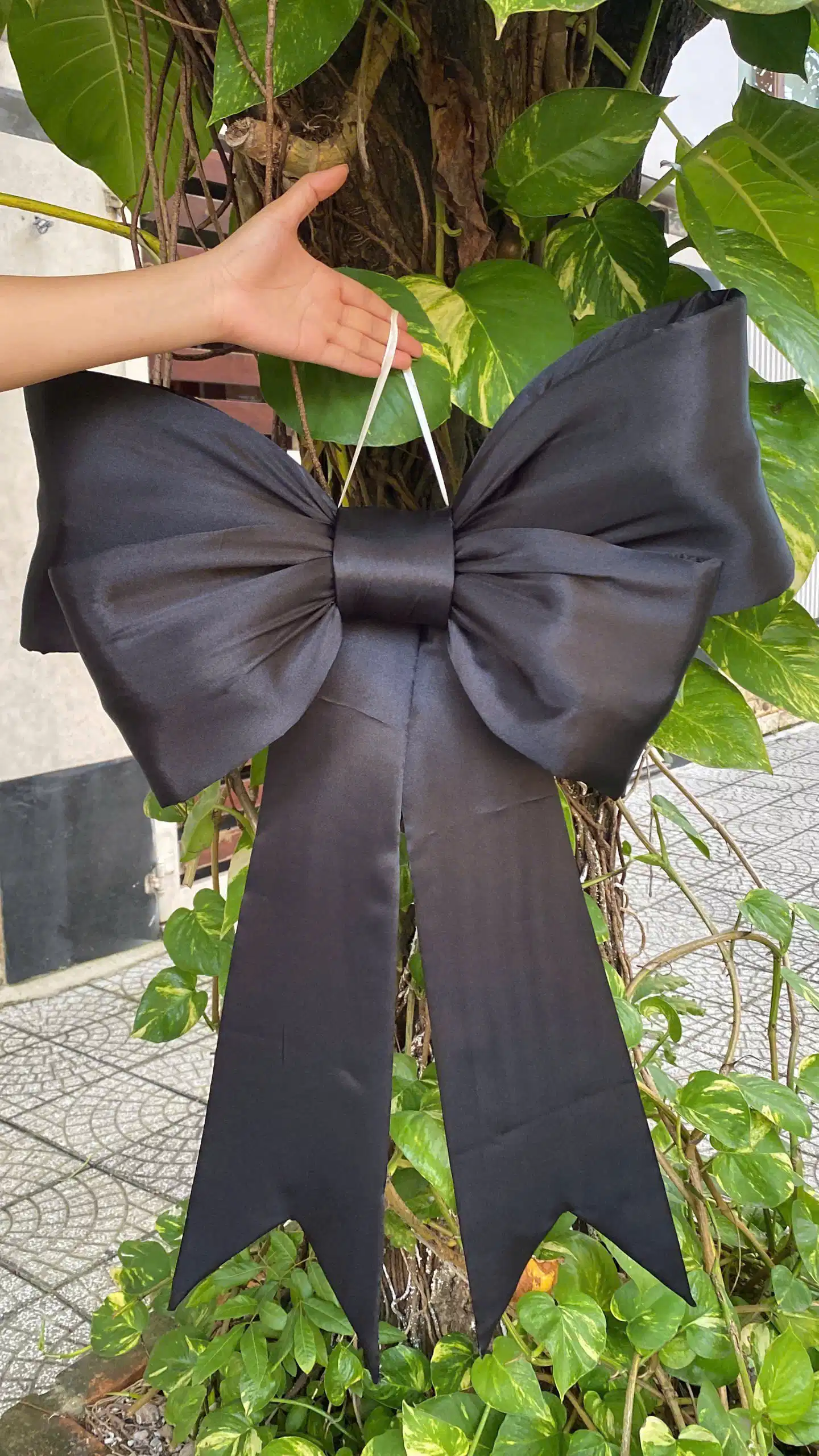 Nơ Đen Phi bóng Nơ Đen Phi bóng - Ảnh 3