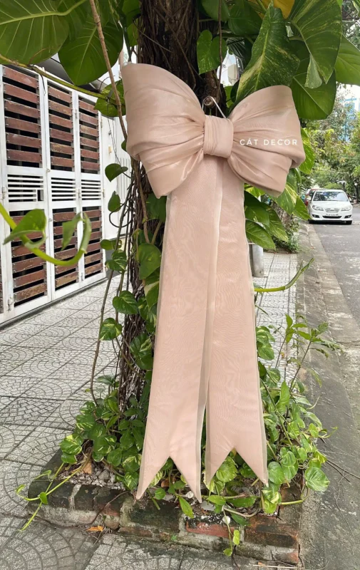 Top Mẫu Nơ Khổng Lồ Đẹp 2026