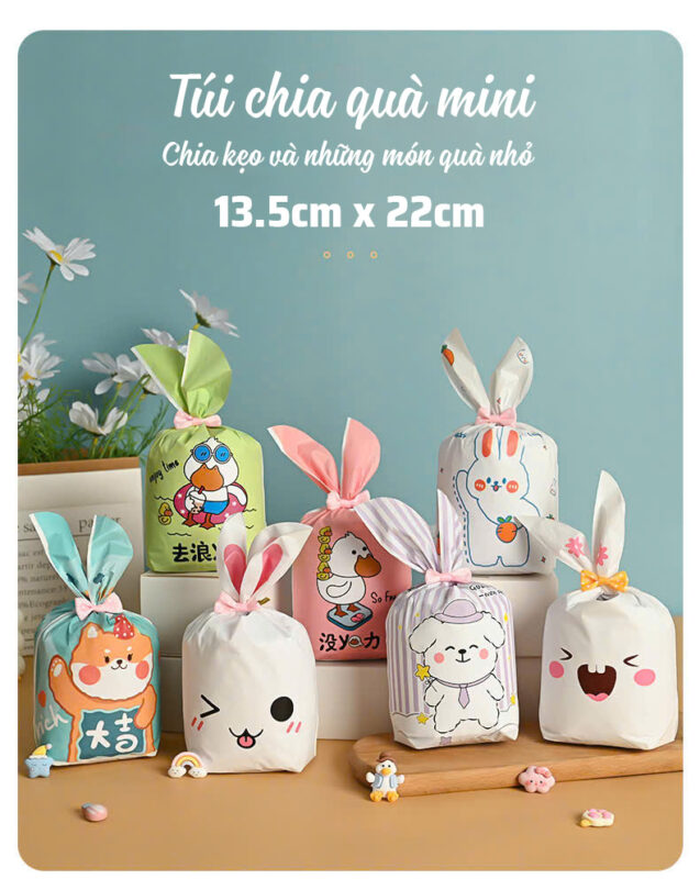 Túi chia quà MINI